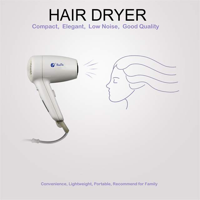 El secador de pelo XinDa RCY120 20C1 OEM Custom Professional 3000w Usa Hair Dryer